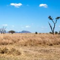 TZA MAR SerengetiNP 2016DEC24 RoadB144 010 : 2016, 2016 - African Adventures, Africa, Date, December, Eastern, Mara, Month, Places, Road B144, Serengeti National Park, Tanzania, Trips, Year
